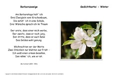 Barbarazweige-Greif.pdf